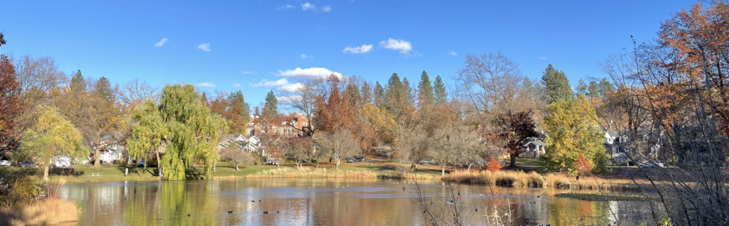 Manito Park Pond with ducks floating on the surface.
